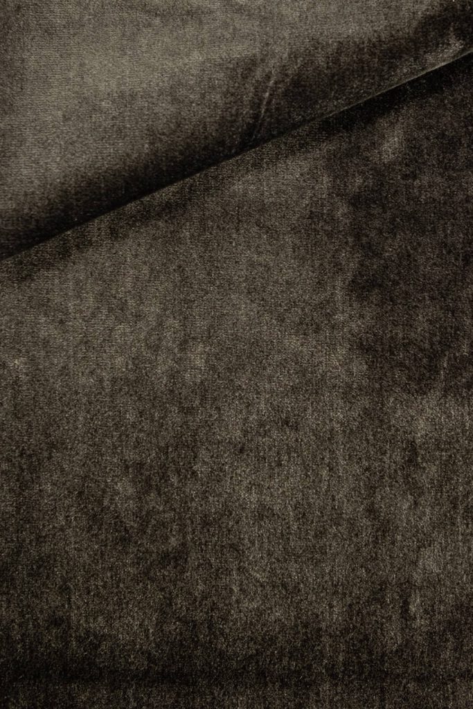 Avestruz1139-268_1_Koni-198