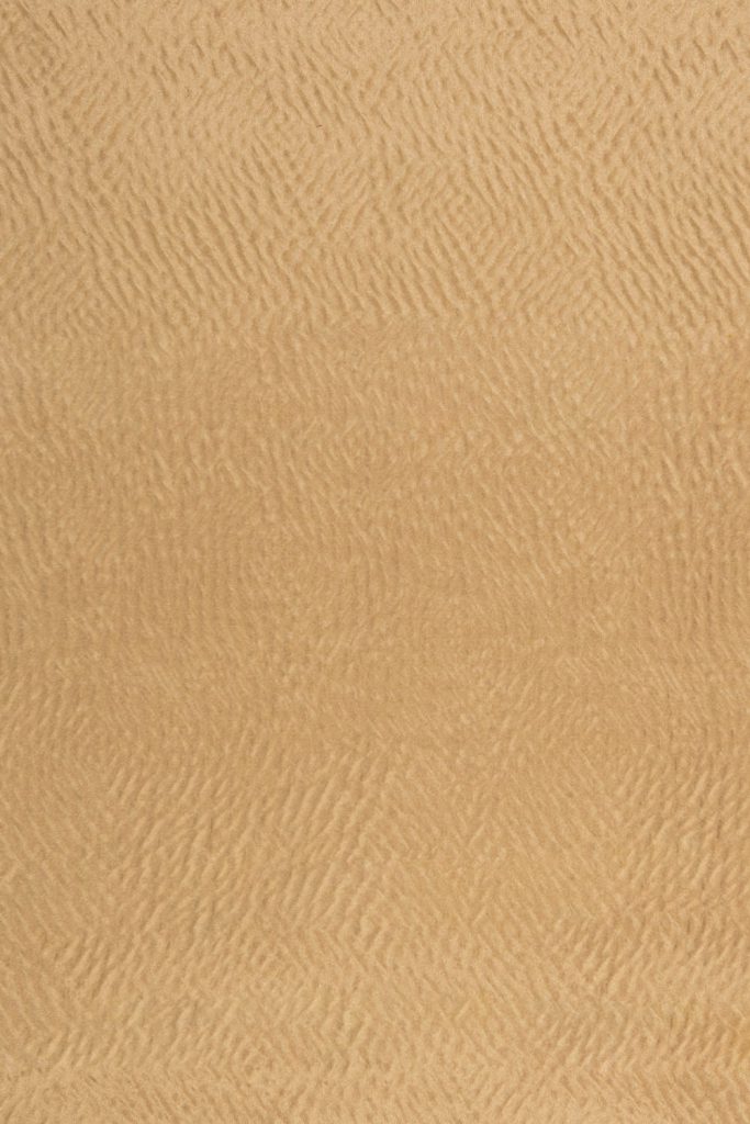 KH09536-342_4_Koni-330